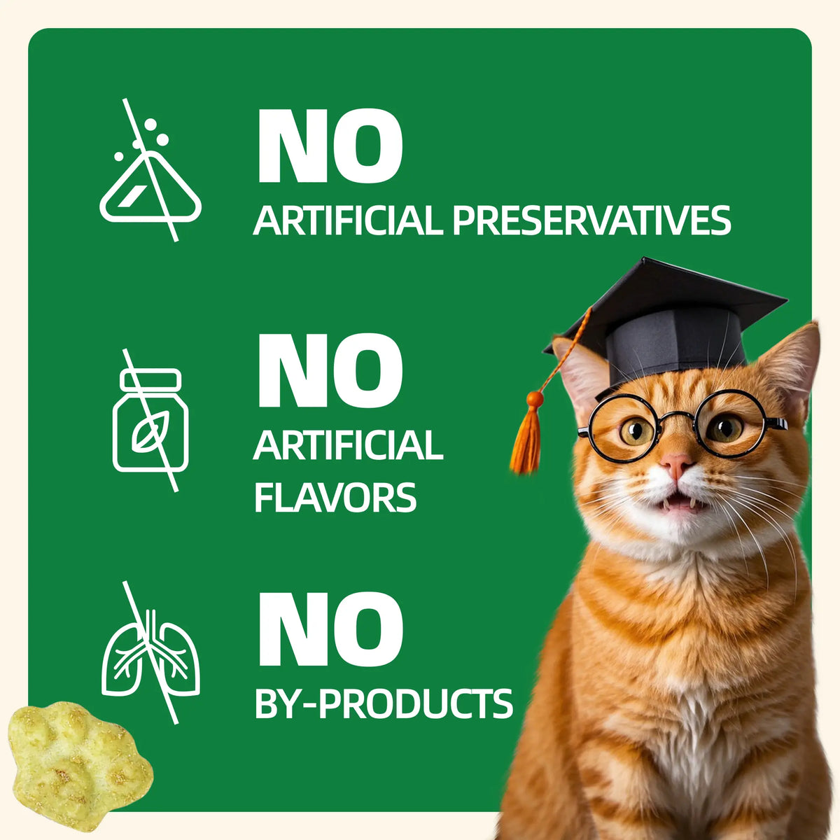 Wellix Dry Cat Treats - Biscuit Shape, Hairball Control, Natural Salmon, Feline Grass, Catnip, Dental Care for Indoor Cats & Kittens, 3.17Oz Feline Food for Feeding & Training,#Sohochic