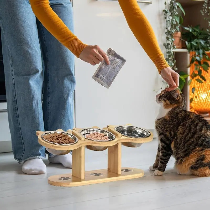 Elevated Cat Feeding Station with Multi-Tier Design, Featuring 3 Stainless Steel Bowls and Stands, Easy Assembly, and Portable for Cats and Dogs