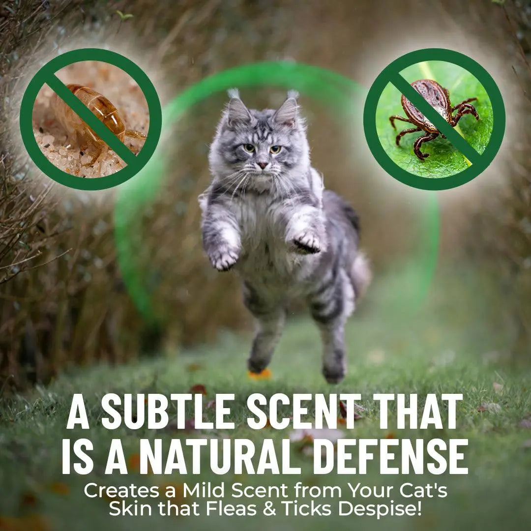 GCP Flea & Tick Natural Defense for Cats - 100 Soft Chews Flea Tick Chewables Kittens