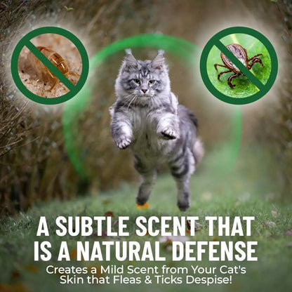 GCP Flea & Tick Natural Defense for Cats - 100 Soft Chews Flea Tick Chewables Kittens