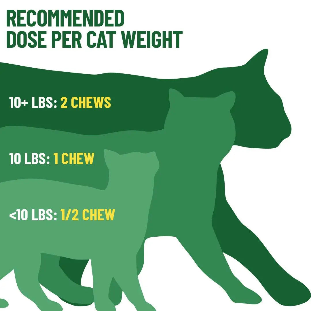 GCP Flea & Tick Natural Defense for Cats - 100 Soft Chews Flea Tick Chewables Kittens
