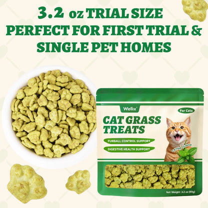 Wellix Dry Cat Treats - Biscuit Shape, Hairball Control, Natural Salmon, Feline Grass, Catnip, Dental Care for Indoor Cats & Kittens, 3.17Oz Feline Food for Feeding & Training,#Sohochic